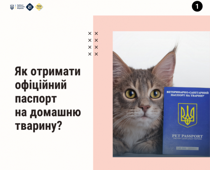 Як отримати офіційний ветеринарний паспорт на домашню тварину?
