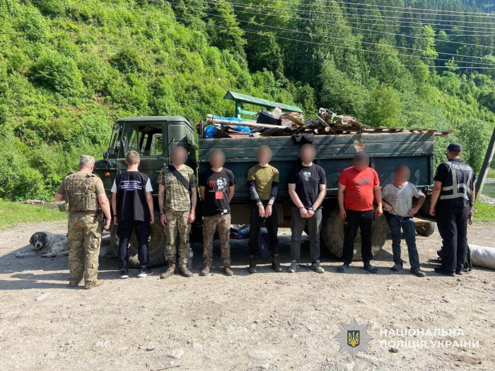 Худоба як прикриття: ноу-хау від закарпатських переправників викрили прикордонники
