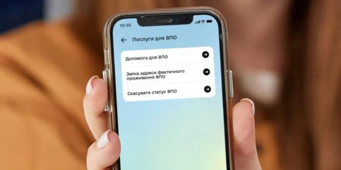 Довідка ВПО: як відновити документ, якщо випадково видалили його в Дії