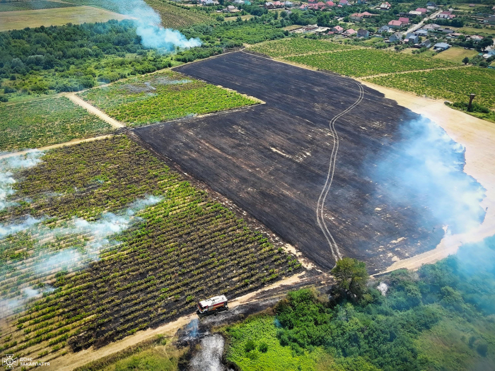 Закарпаття у вогні: понад 1100 пожеж в екосистемах ліквідували з початку року