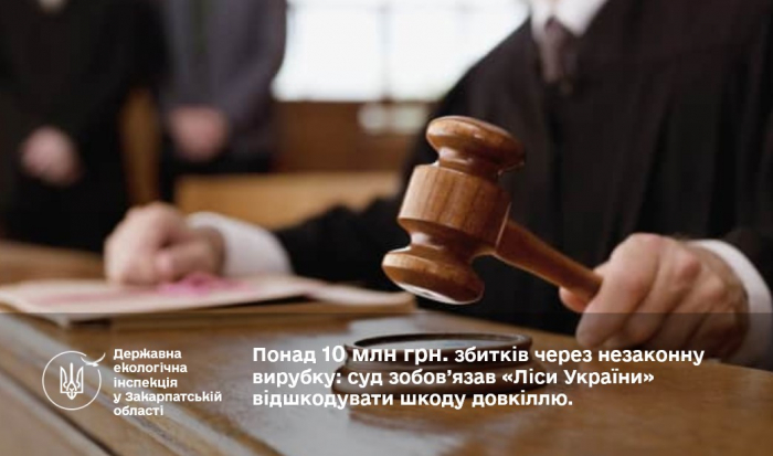 Суд зобов’язав Карпатський лісовий офіс компенсувати 10 млн грн шкоди за вирубку в заказнику
