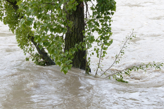 Синоптики попереджають про підвищення рівнів води у річках на Закарпатті
