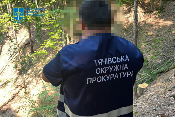 Прокурори Тячівщини викрили незаконну порубку лісу на території Краснянського лісництва