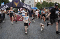 Uzhhorod Puppy Race – в Ужгороді відбувся перший благодійний забіг із чотирилапими