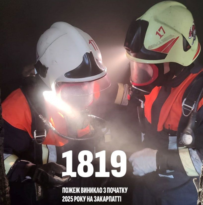 1819 пожеж ліквідували вогнеборці Закарпаття від початку року