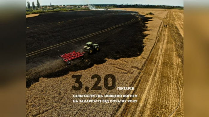 З початку 2025 року на Закарпатті зафіксовано 2 пожежі на сільськогосподарських угіддях — вогонь знищив 3,2 гектари зернових культур