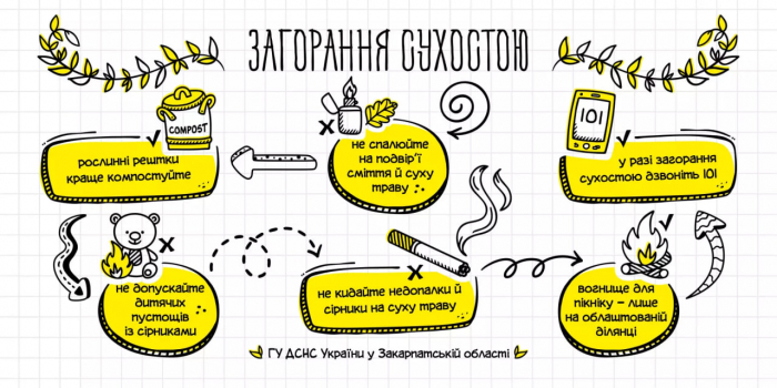 1170 пожеж в екосистемах Закарпаття ліквідовано з початку року
