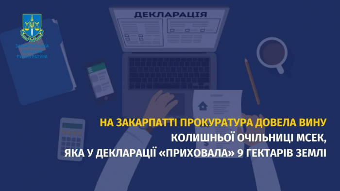 На Закарпатті прокуратура довела вину колишньої очільниці МСЕК, яка у декларації «приховала» 9 гектарів землі

