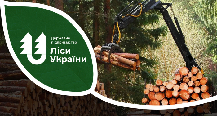 Закарпаття: хто винен у зменшенні заготівлі деревини?