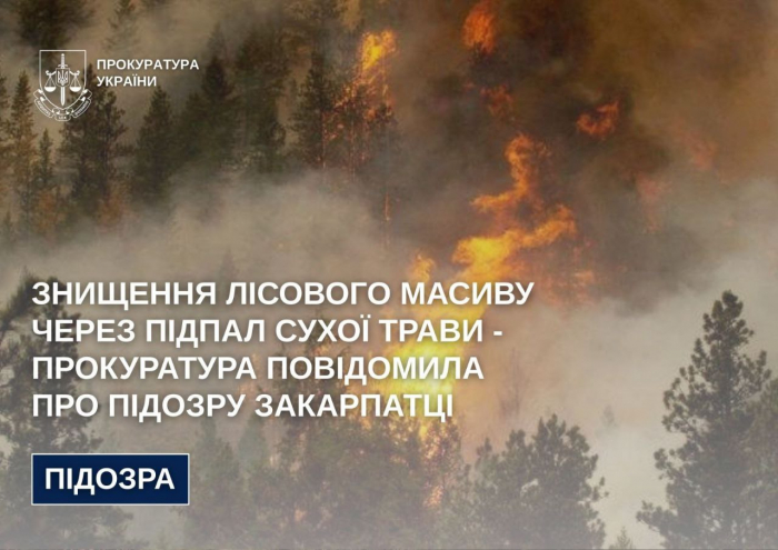 Знищення лісового масиву через підпал сухої трави - прокуратура повідомила про підозру закарпатці

