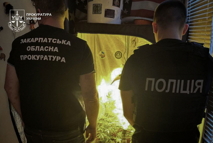 В Ужгороді викрито нарколабораторію: прокуратура повідомила про підозру організатору збуту марихуани
   

