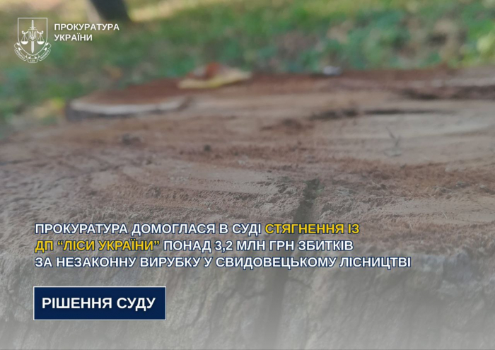 Прокуратура домоглася в суді відшкодування понад 3,2 млн грн збитків за незаконну вирубку у Свидовецькому лісництві

