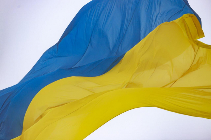 До Дня Соборності України Володимир Зеленський відзначив трьох закарпатців державними нагородами