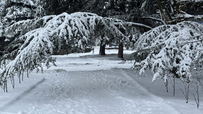 На Закарпатті через сильні снігопади сталося знеструмлення у 21 населеному пункті
