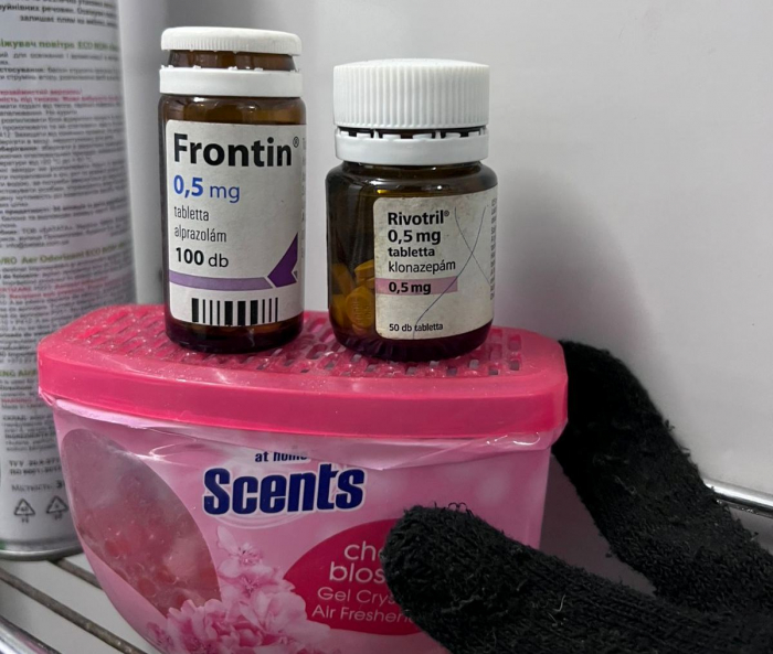 У потягу, що прямував з Угорщини, прикордонники знайшли психотропні речовини

