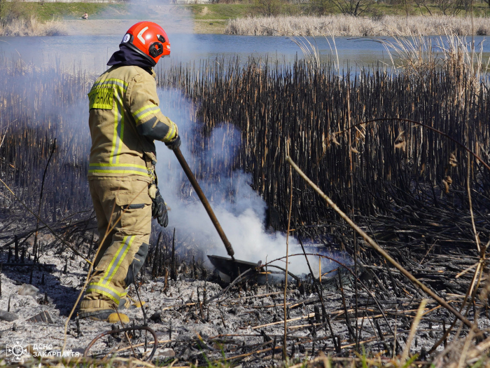 Пожежі сухої трави на Закарпатті не вщухають – лише протягом однієї доби рятувальники виїжджали 42 рази
