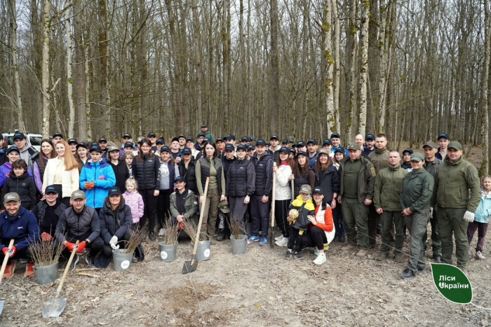 У Міжнародний день лісів на Закарпатті висадили ліс для майбутніх поколінь