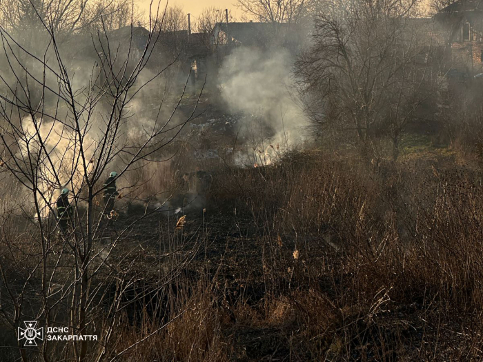 Попри похолодання та опади пожежі в екосистемах на Закарпатті тривають