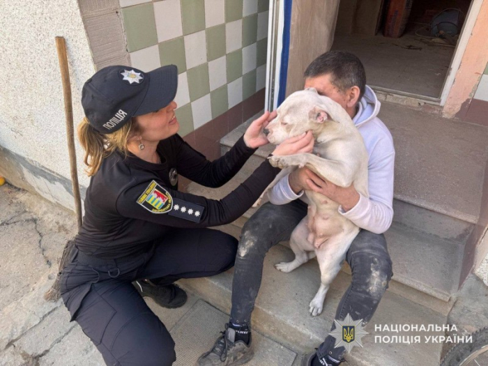 «Не просто пес, а помічник у реабілітації дітей»: на Берегівщині поліцейські повернули загублену собаку господарям