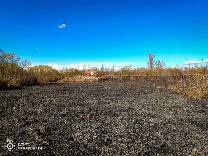 На Закарпатті знову частішають випадки загоряння сухостою – з початку року випалено вже понад 498 гектарів землі