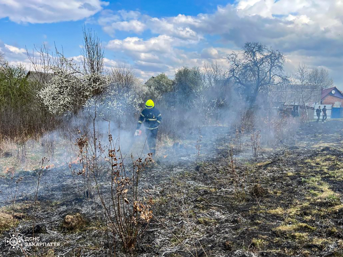 На Закарпатті з початку року вигоріло понад 500 гектарів сухостою