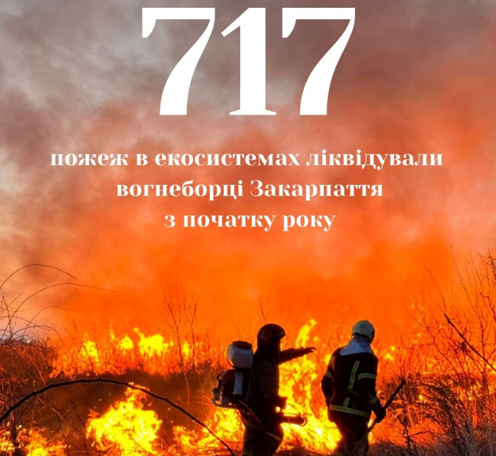 717 пожеж в екосистемах ліквідували вогнеборці Закарпаття з початку року 