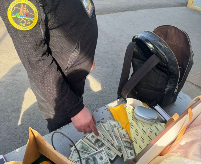 На кордоні зі Словаччиною службовий пес митниці винюхав у речах пішохідки валюту на майже 4 млн грн

