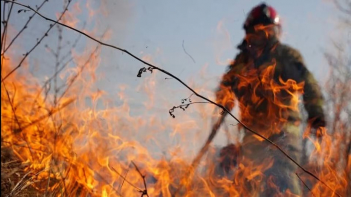 Суха погода та вітер: Закарпаття входить у період високої пожежної небезпеки
