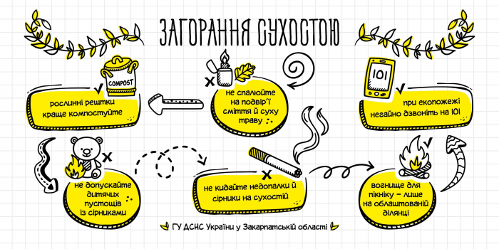 Шість пожеж за добу на Закарпатті — і п’ять із них пов’язані із загорянням сухої рослинності, чагарників та сміття
