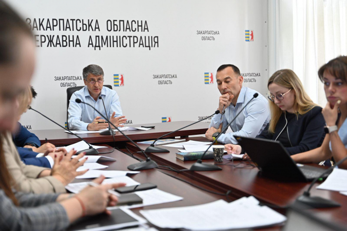 «Smart Village» на Закарпатті: область планує масштабний відбудовчий проєкт разом із Південною Кореєю