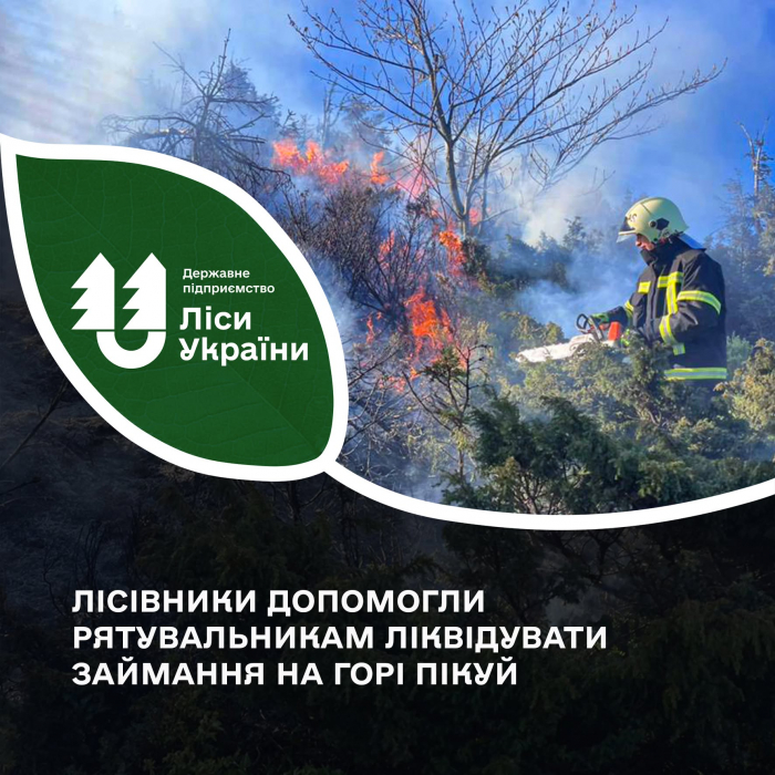 Пожежа на полонині: лісівники Карпатської філії допомогли рятувальникам ліквідувати займання на схилах гори Пікуй

