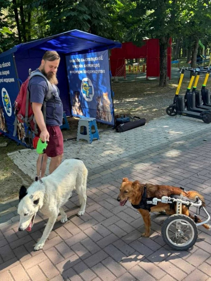 Безкоштовна вакцинація домашніх тварин проти сказу триватиме в Ужгороді і сьогодні, 29 травня