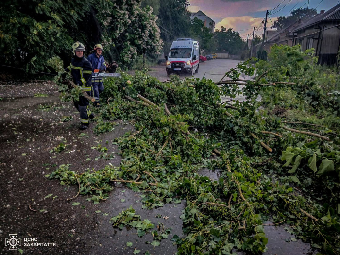 В Ужгороді та Виноградові рятувальники ліквідували наслідки негоди