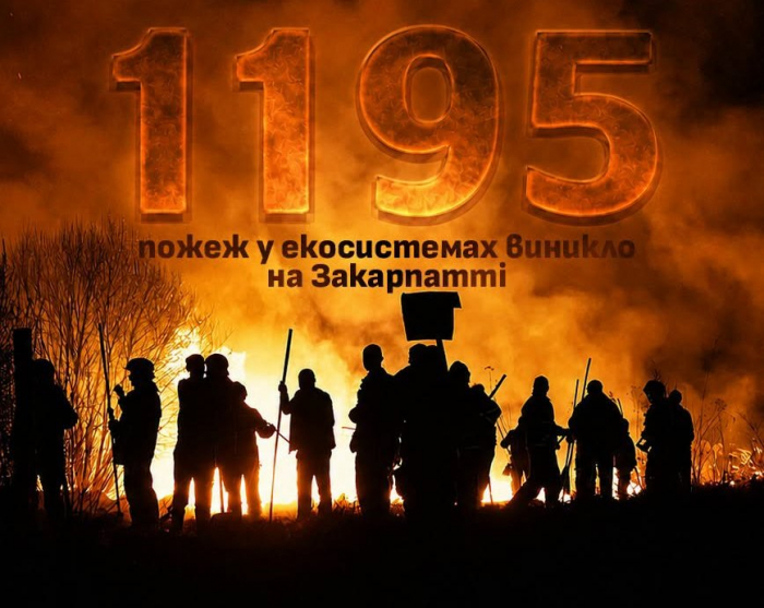 Майже 1200 пожеж в екосистемах та 813 га згарища: ДСНС Закарпаття закликає зупинити спалювання сухостою у спеку

