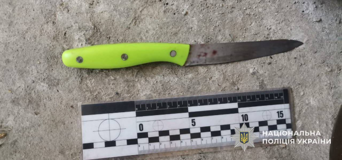 7 років за ґратами: на Закарпатті засудили пенсіонера за замах на вбивство односельця