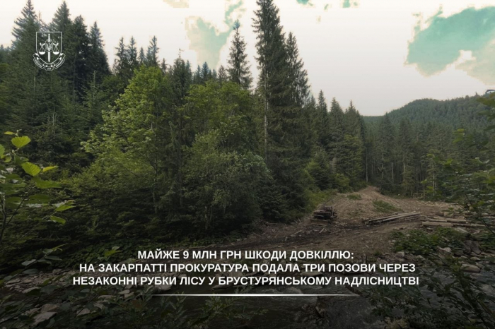 Майже 9 млн грн шкоди довкіллю: на Закарпатті прокуратура подала три позови через незаконні рубки лісу у Брустурянському надлісництві