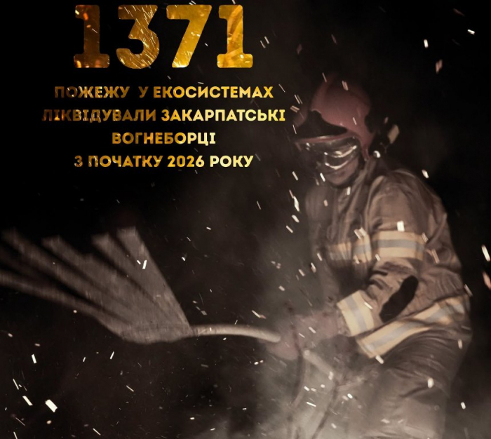 2092 пожежі за пів року: кожна друга пожежа на Закарпатті – через займання в екосистемах
