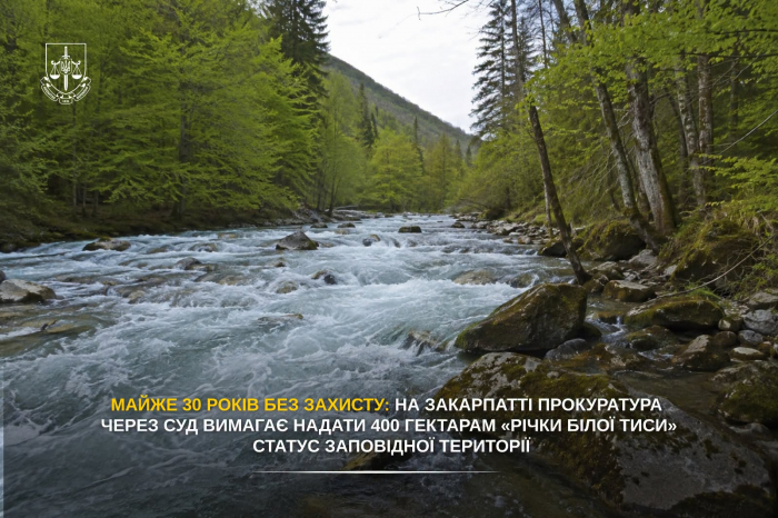 На Закарпатті прокуратура через суд вимагає надати 400 гектарам «Річки Білої Тиси» статус заповідної території