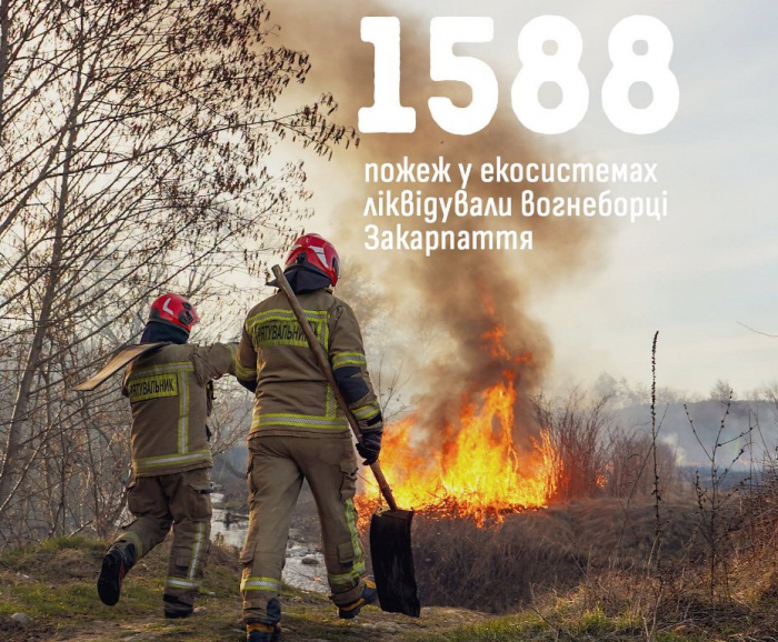 1588 пожеж в екосистемах: на Закарпатті рятувальники закликають берегти природу від вогню