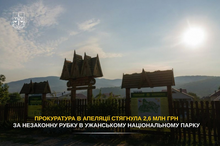 Прокуратура в апеляції стягнула 2,6 млн грн за незаконну рубку в Ужанському національному парку