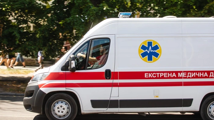 На Закарпатті після укусу отруйної змії госпіталізували чоловіка
