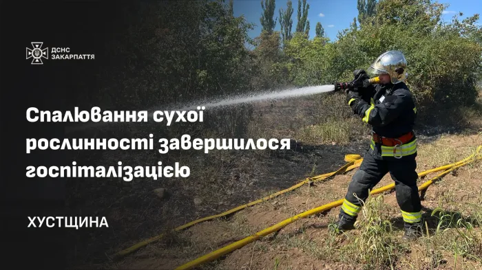 Спалювання сухої рослинності на Хустщині завершилося госпіталізацією