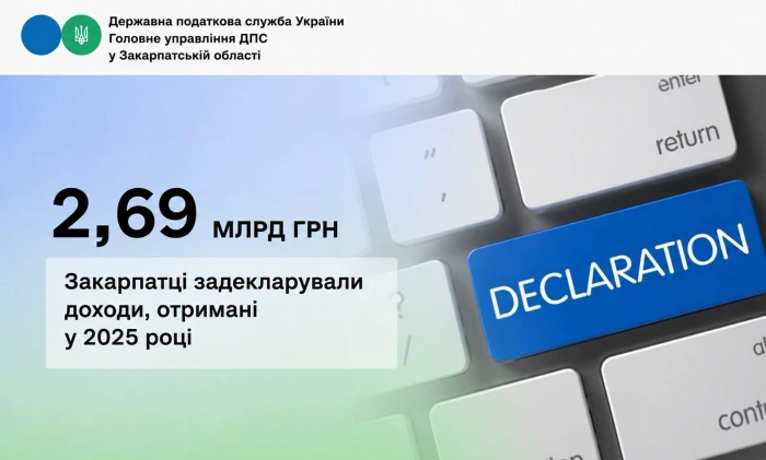Закарпатці задекларували 2,69 млрд грн доходів, отриманих у 2025 році

