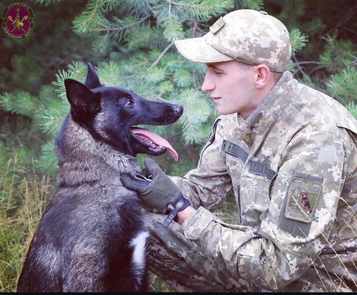 Чотирилапий напарник Віскі допомагає прикордоннику Віктору Ходаничу виявляти зброю та вибухівку