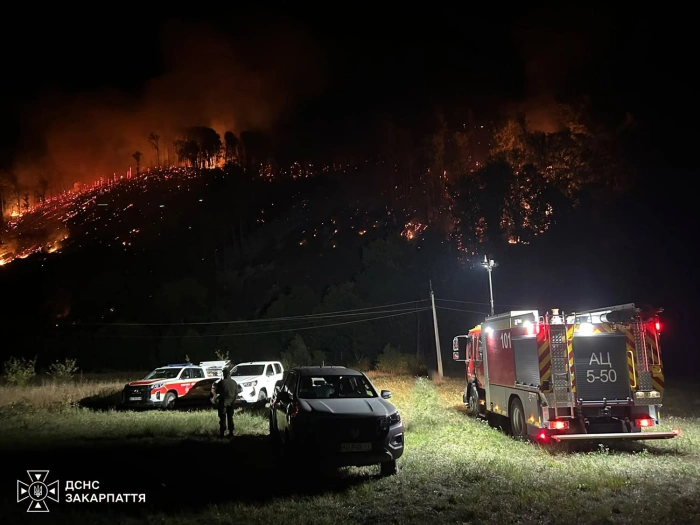 На Мукачівщині триває ліквідація лісової пожежі