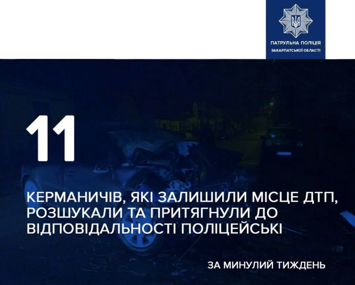 За минулий тиждень патрульні поліцейські Закарпатської області розшукали 11 водіїв, які покинули місце ДТП