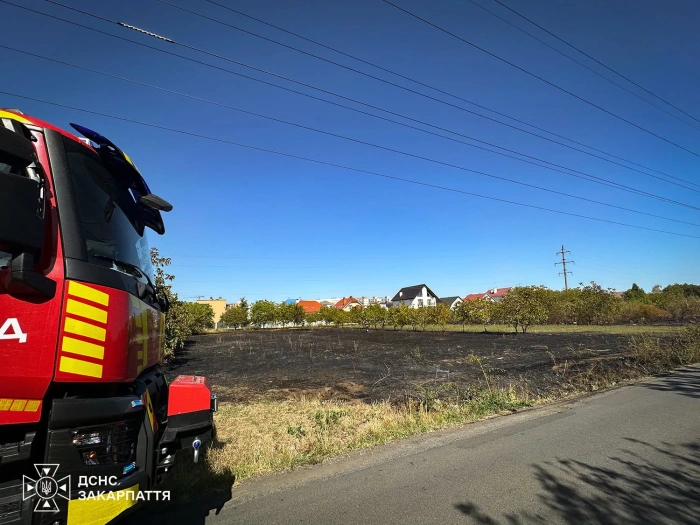 На Закарпатті через спалювання сухостою з початку року згоріло 1085 га