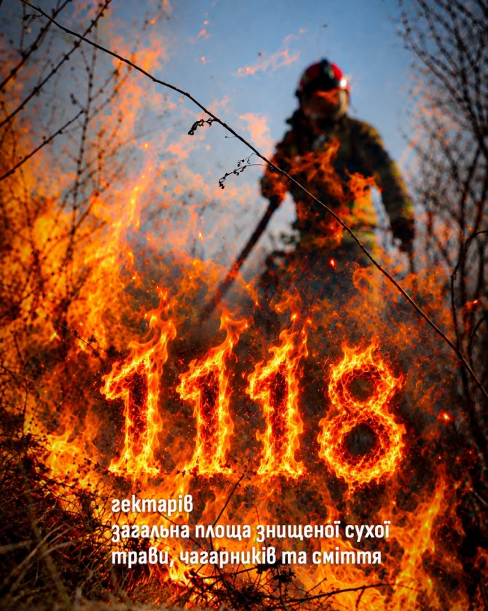 1986 пожеж від початку року: на Закарпатті вогонь знищив 1118 гектарів екосистем