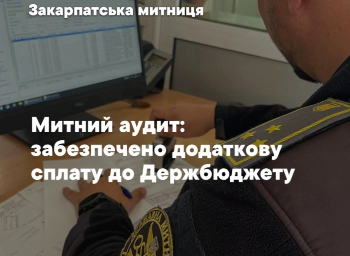 Закарпатські митники запобігли фінансовим втратам до бюджету на майже 47 млн грн

