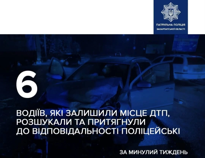 На Закарпатті за тиждень розшукали шістьох водіїв, які втекли з місця ДТП
